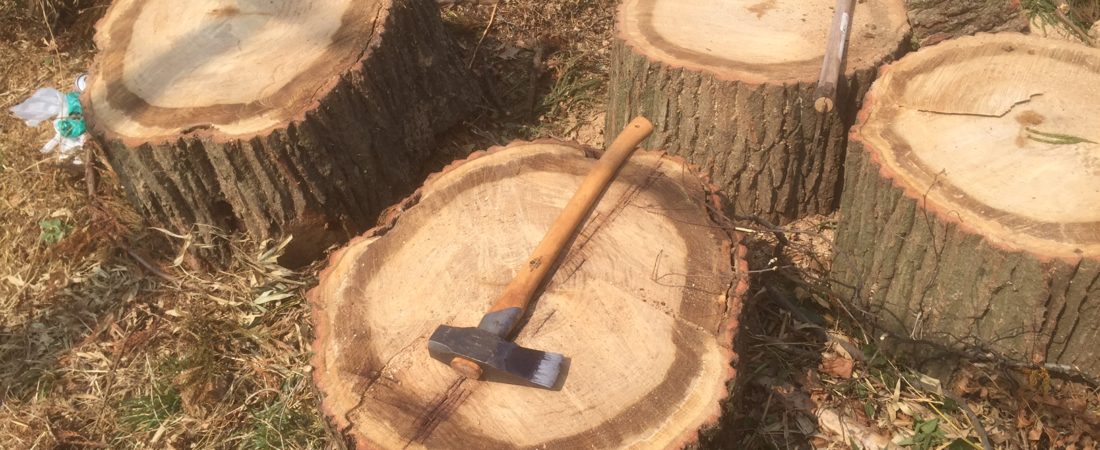 モチ吉、ヘッダー画像2