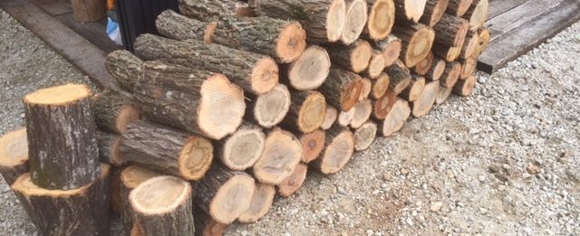 【原木さらに購入】山師の土場で購入した原木を切りました。 【原木さらに購入】山師の土場で購入した原木を切りました。
