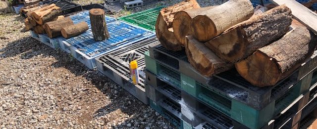 朝から薪割り2 順調です! 朝から薪割り2 順調です!